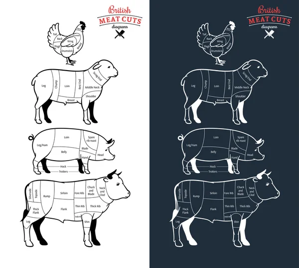 Diagramas de cortes de carne britânica —  Vetores de Stock