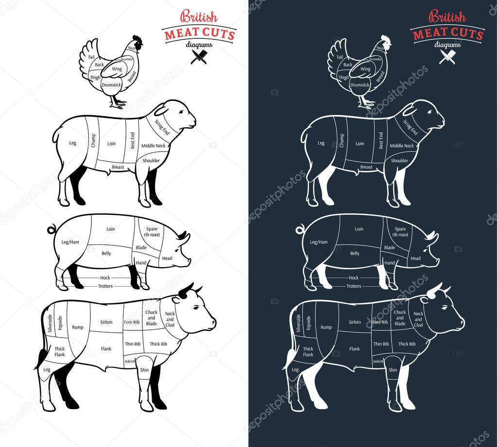 British Meat Cuts Diagrams