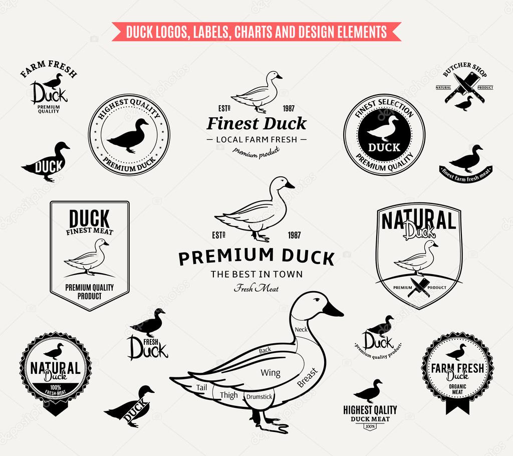 Lots of vector duck design elements for your work. Duck labels, duck cuts diagram and design elements.