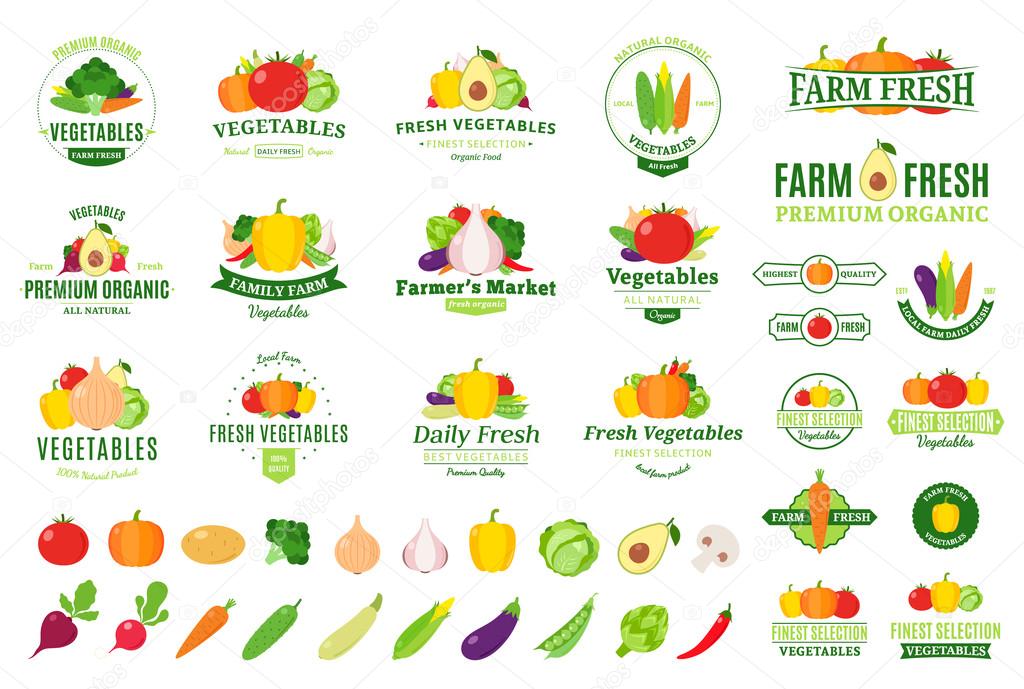 Vegetable, Farmers Market, Vegetable Dish, Salad, Fruit Vegetable, Logo,  Pumpkin, Food, Vegetable, Farmers Market, Vegetable Dish png | PNGWing