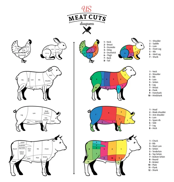 American (US) Meat Cuts Diagrams — Stock Vector