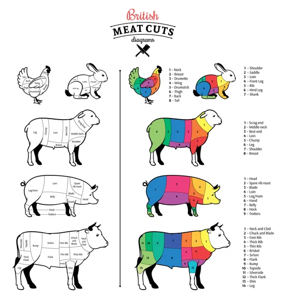 Diagramas de cortes de carne britânica —  Vetores de Stock