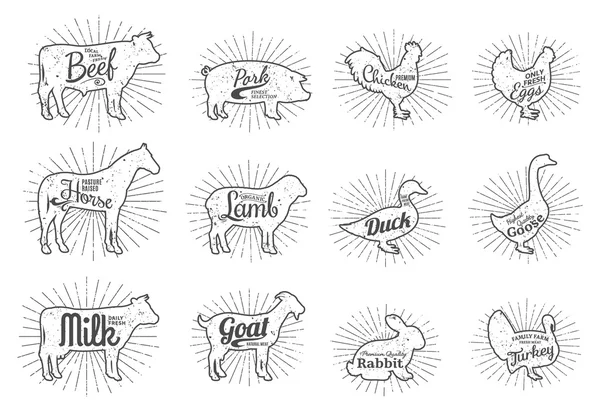 Collection Silhouettes d'animaux de ferme, Modèles d'étiquettes de boucherie — Image vectorielle