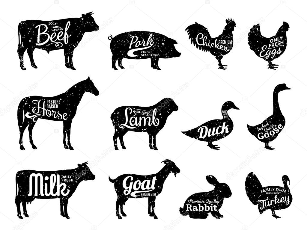 Set of butchery logo templates. Farm animals with sample text. Retro styled farm animals silhouettes collection for groceries, meat stores, packaging and advertising. Vector logotype design.