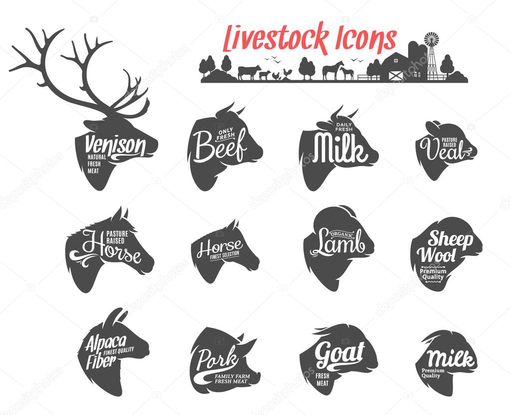 Set of livestock labels templates. Livestock icons collection for groceries, meat stores, packaging and advertising. Vector label design.