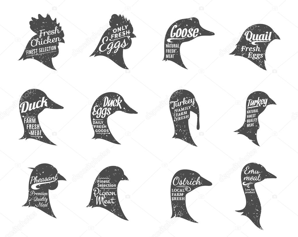 Set of butchery labels templates. Poultry icons with sample text. Poultry icons collection for groceries, meat stores and advertising. Vector labels design.