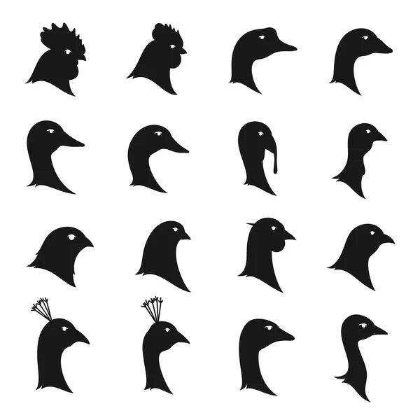 Iconos de aves de corral vectoriales aislados en blanco — Archivo Imágenes Vectoriales