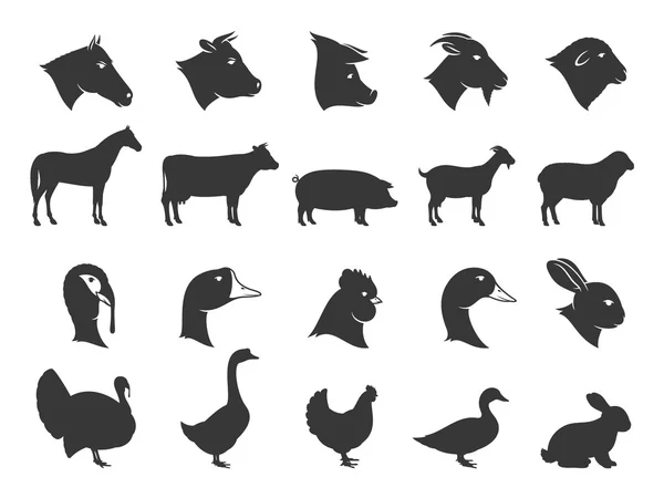 Farm Animals Silhouettes and Icons — Stock Vector