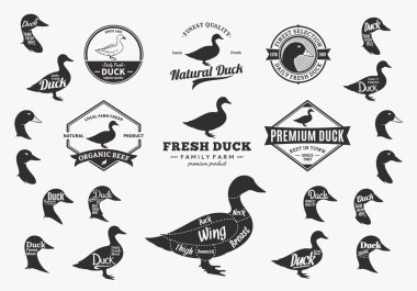 Vektör ördek Logo, simgeler, grafikleri ve tasarım öğelerini