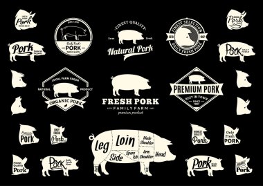 Vektör domuz Logo, simgeler, grafikleri ve tasarım öğelerini
