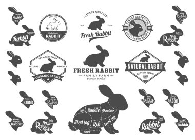 Vektör tavşan logosu, simgeler, grafikleri ve tasarım öğelerini