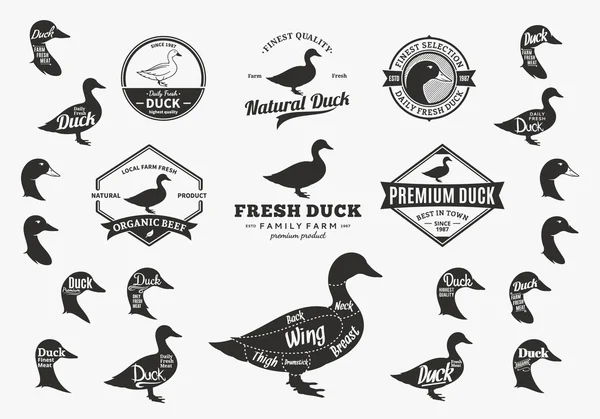 Logotipo del pato vectorial, iconos, gráficos y elementos de diseño — Vector de stock