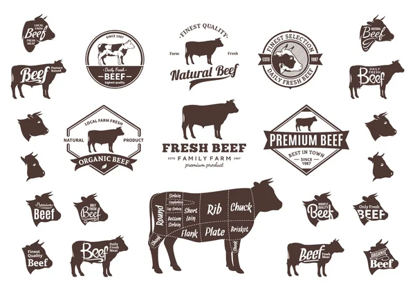 Vector Beef Logo, Icons, Charts and Design Elements — Stock Vector