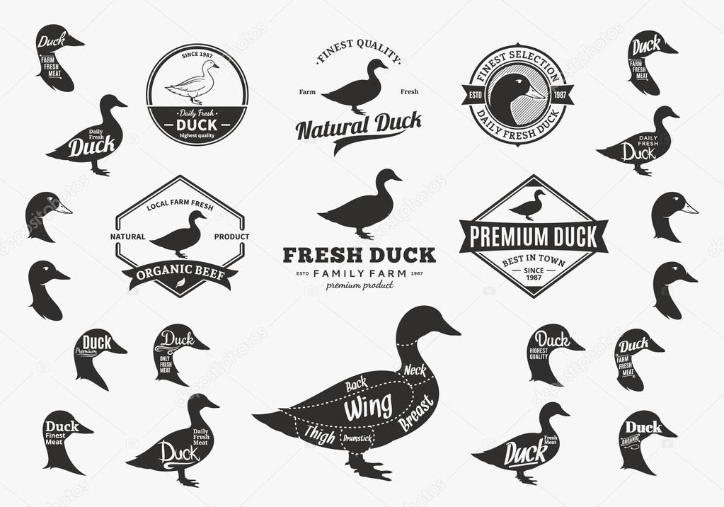Set of duck logo. Butchery labels with sample text. Duck design elements, icons and silhouettes for groceries, meat stores, packaging and advertising. Duck cuts diagram