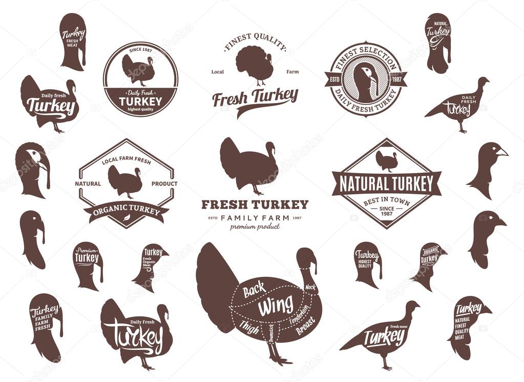 Vector Turkey Logo, Icons, Charts and Design Elements