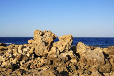 Mercanlar denizin kıyısında.