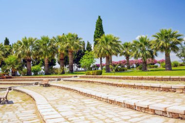 Güzel palmiye ağaçları mavi gökyüzüne karşı taş yolun kenarında duruyor.