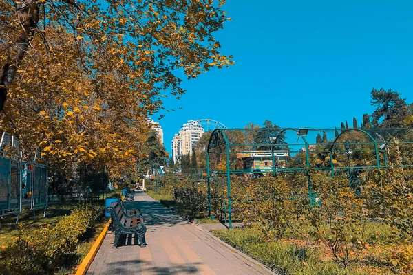 Sonbaharda Sochi Şehir Parkı.
