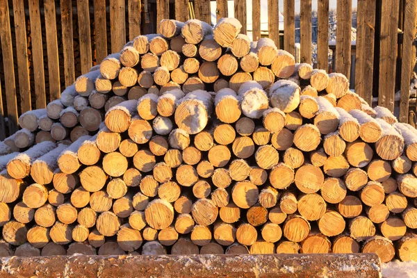 Gekapte Stammen Liggen Grond — Stockfoto