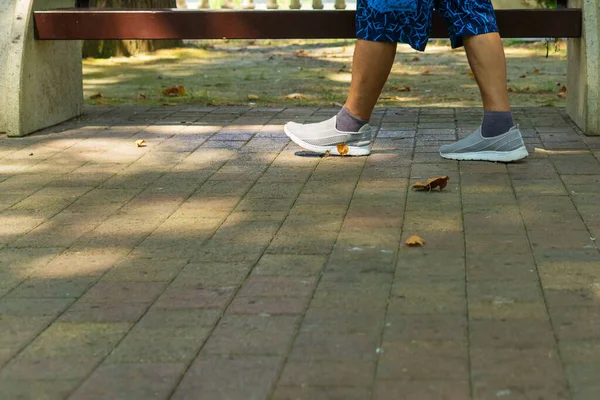 Dois Pés Sapatos Estão Estrada — Fotografia de Stock