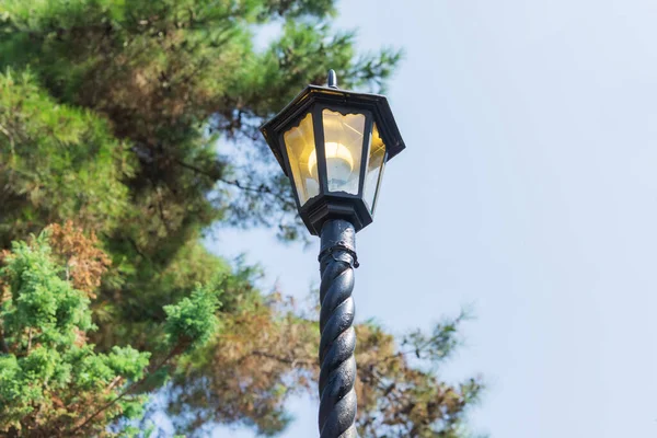 Street Lampa Bakgrunden Blå Himmel Och Gröna Trädgrenar — Stockfoto