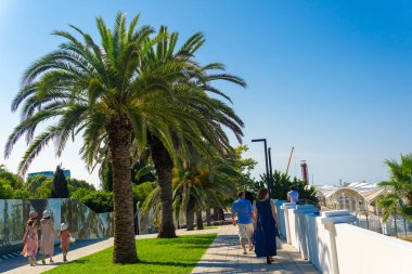 İnsanlar sahilde palmiye ağaçları arasında yürürler..