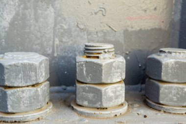 Fındıklar çivilere sıkıca yapışmış..