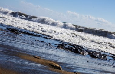 Deniz, dalgalar, güneş, kayalar, plaj, turkuaz, sahil