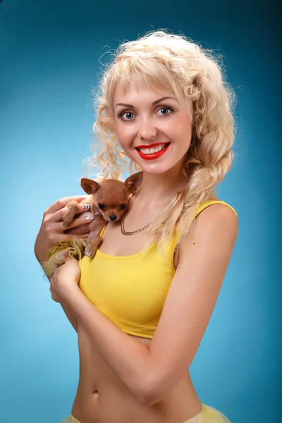 Glamorous girl holding a chihuahua dog. — Stock Photo, Image