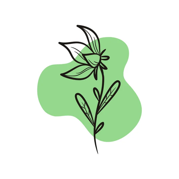 Illustrazione Fiore Verde Foglia — Vettoriale Stock