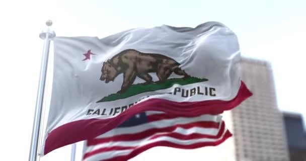 Flaga Republiki Kalifornijskiej Monarchą Niedźwiedzi Grizzly Powiewa Razem Amerykańską Flagą — Wideo stockowe