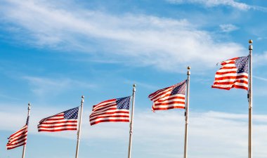 Güneşli bir günde dalgalanan bir grup Amerikan bayrağı. Vatanseverlik ve demokrasi kavramı