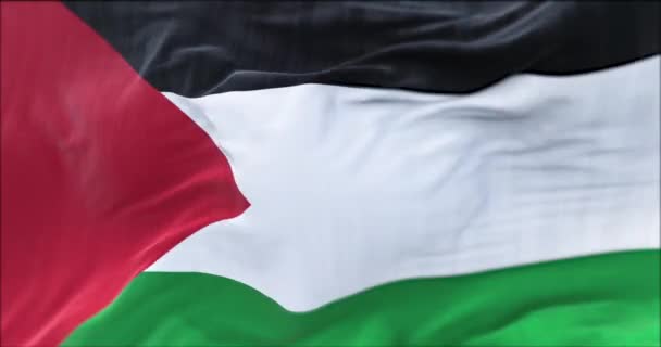 Κοντινή Θέα Της Σημαίας Της Παλαιστίνης Που Κυματίζει Στον Άνεμο — Αρχείο Βίντεο
