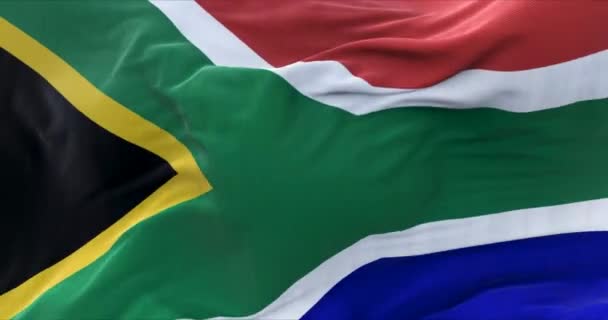 風に乗って飛ぶ南アフリカの国旗の詳細 民主主義と政治 — ストック動画