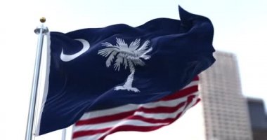 Güney Carolina eyaletinin ve Amerika Birleşik Devletleri 'nin bayrakları rüzgarda sallanıyor. Demokrasi ve bağımsızlık. Amerikan devleti. Kusursuz 3 boyutlu animasyon