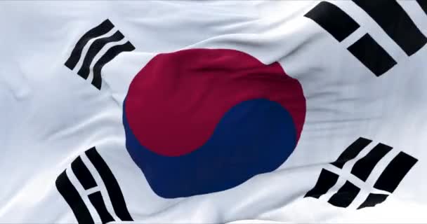 Detalle Bandera Nacional Corea Del Sur Ondeando Viento Democracia Política — Vídeo de stock