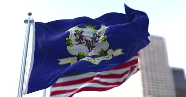 コネチカット州とアメリカ合衆国の旗が風になびいていた 民主主義と独立 アメリカの州 シームレス3Dアニメーション — ストック動画