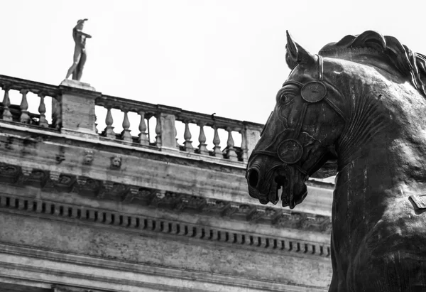 Бронзовий кінь — стокове фото