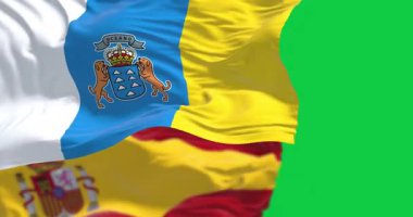 Yeşil arka planda izole edilmiş Kanarya Adaları ve İspanyol bayrağı dalgalanıyor. İspanyol özerk topluluğu. Kusursuz 3D canlandırma animasyonu. Krom anahtar. Yavaş çekim döngüsü. Yeşil ekran. 4 bin. Seçici odak