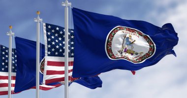 Virginia ve ABD bayrakları açık bir günde rüzgarda sallanıyor. Koyu mavi arka planda eyalet mührü. 3D illüstrasyon canlandırıcı. Dalgalanan kumaş