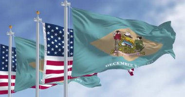 Delaware eyalet bayrağı ulusal Amerikan bayrağıyla dalgalanıyor. Kusursuz 3 boyutlu animasyon. Yavaş çekim döngüsü. Seçici odak