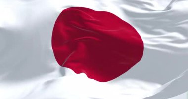 Japonya ulusal bayrağının rüzgarda dalgalandığı yakın çekim. Beyaz sahada kırmızı disk. Japonya Doğu Asya 'da bir ada ülkesidir. Kusursuz 3 boyutlu animasyon. Yavaş çekim döngüsü.