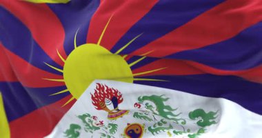 Tibet bayrağına yakın çekim, kar aslanları ve yükselen güneş. Özgürlük, kimlik, kültür, direniş ve bağımsızlık kavramı. Kusursuz 3 boyutlu animasyon. Yavaş çekim döngüsü. Seçici odak