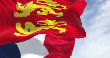 Normandiya ve Fransa 'nın bayrakları açık havada rüzgarda sallanıyor. Normandiya, Fransa 'nın kuzeyinde bir bölge. Kusursuz 3 boyutlu animasyon. Yavaş çekim döngüsü. Seçici odak