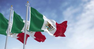 Açık bir günde Meksika bayrakları dalgalanıyor. Üç renkli yeşil, beyaz ve kırmızı. Beyaz çizginin ortasında milli arma var. Kusursuz 3 boyutlu animasyon. Yavaş çekim döngüsü.