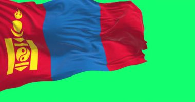 Rüzgarda dalgalanan Moğolistan ulusal bayrağı yeşil arka planda izole edildi. Kusursuz 3D canlandırma animasyonu. Krom anahtar. Yavaş çekim döngüsü. Yeşil ekran. 4 bin. Seçici odak