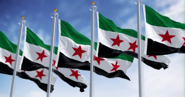 Açık bir günde Suriye ulusal bayrakları dalgalanıyor. Yatay üç renkli yeşil, beyaz, siyah, üç kırmızı beş köşeli yıldız. 3D illüstrasyon canlandırıcı. Seçici odak