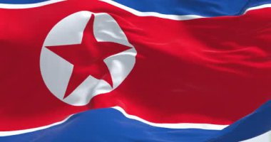 Bahreyn bayrağı rüzgarda dalgalanıyor. Soldaki beyaz şerit ve sağdaki kırmızı bölge, tırtıklı bir çizgi oluşturan beş üçgen. Kusursuz 3 boyutlu animasyon. Yavaş çekim döngüsü. Seçici odak