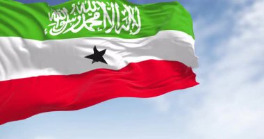 Bahreyn bayrağı rüzgarda dalgalanıyor. Soldaki beyaz şerit ve sağdaki kırmızı bölge, tırtıklı bir çizgi oluşturan beş üçgen. Kusursuz 3 boyutlu animasyon. Yavaş çekim döngüsü. Seçici odak