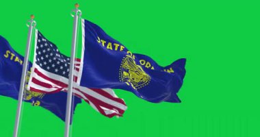 Oregon eyaleti bayrakları rüzgarda dalgalanırken Amerikan bayrakları yeşil arka planda izole edildi. Kusursuz 3D canlandırma animasyonu. Krom anahtar. Yavaş çekim döngüsü. Yeşil ekran. 4 bin. Seçici odak